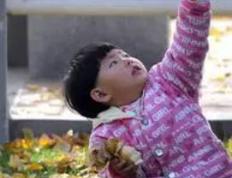 属龙八字五行缺土蕙质兰心的女孩名字