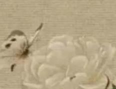 天津给小孩起名字有名的地方有哪些，天津哪有专门取名的