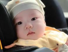 姓胡的男宝宝好听好记的名字精选，2025属蛇胡姓男孩起名大全