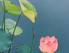 通化宝宝取名哪里好 起名的，通化给孩子取名的地方
