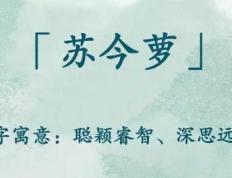 前途似锦优雅文静的女孩名字，独特有气质的男孩名字