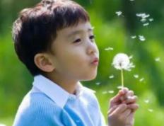 2025白露出生的男孩起名怎么取，卓尔不凡的男孩名字推荐