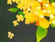 在邯郸出生的小孩起名字,出生小孩起名找哪个大师好