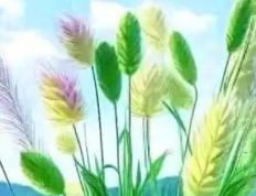 沧州起名大师哪个好 起名字的,沧州哪里有周易八字起名字的