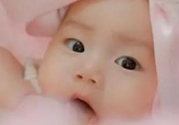 琦字五行属性及寓意，幸福安康的带琦字女孩名字大全