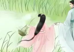 2026年楚辞中最唯美的女宝宝名字，比较有灵气的楚辞女生名字有哪些