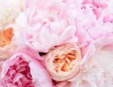 领证吉日查询2025年12月22日农历冬月初三适宜领证结婚吗