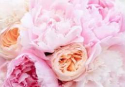 领证吉日查询2025年12月22日农历冬月初三适宜领证结婚吗