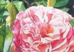 2025年12月15日是动土黄道吉日吗，今日动土好不好