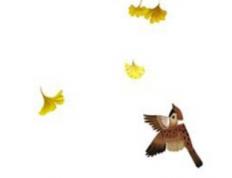 2025年12月30日农历冬月十一是装修黄道吉日吗，今日装修开工好吗