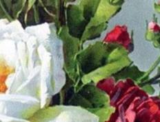 2025年12月22日适合动土建房吗，今日是动土建房黄道吉日吗