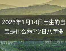 2026年1月14日出生的宝宝是什么命?今日小孩怎么取名字