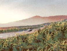 2026年1月10日农历2025年冬月廿二提车好吗，今日提车吉利吗