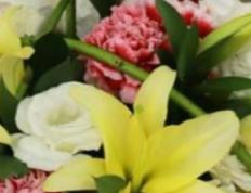 2026年1月9日农历2025年冬月廿一适合结婚吗，今日办喜事好吗