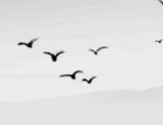 2026年1月13日农历2025年冬月廿五是装修黄道吉日吗，今天装潢好不好