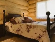 2026年1月23日安床好日子吗，今天安床好不好