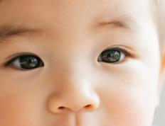 郑州起名专家都有哪些，郑州起名专家哪个好