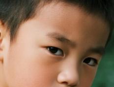 郑州起名馆大全，郑州起名馆一般多少钱