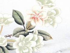 2026年01月21日是动土好日子吗 今日建筑房屋好吗