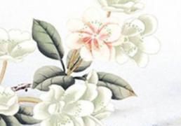 2026年01月21日是动土好日子吗 今日建筑房屋好吗