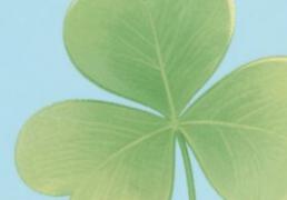 武汉周易八字起名最好的是哪家，武汉新生儿取名字谁家好