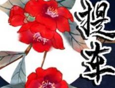 2026年农历腊月廿二提车好不好 今日买新车好不好