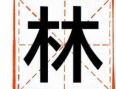 2026年林姓有涵养的女孩名字