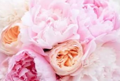 屏幕截图 2025-12-10 094258.jpg 领证吉日查询2025年12月22日农历冬月初三适宜领证结婚吗