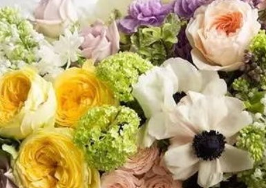 屏幕截图 2025-12-12 102331.jpg 2025年12月26日是结婚的好日子吗,今日办喜事吉利吗