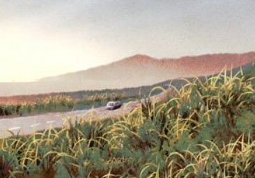 2026年1月10日农历2025年冬月廿二提车好吗，今日提车吉利吗