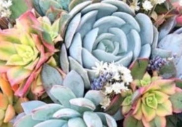 2026年1月11日农历2025年冬月廿三适合结婚吗，今天办婚礼好不好