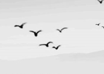 2026年1月13日农历2025年冬月廿五是装修黄道吉日吗，今天装潢好不好